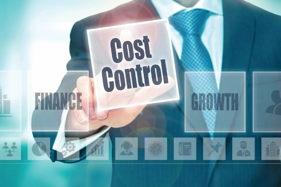 What is Project Cost Control?
