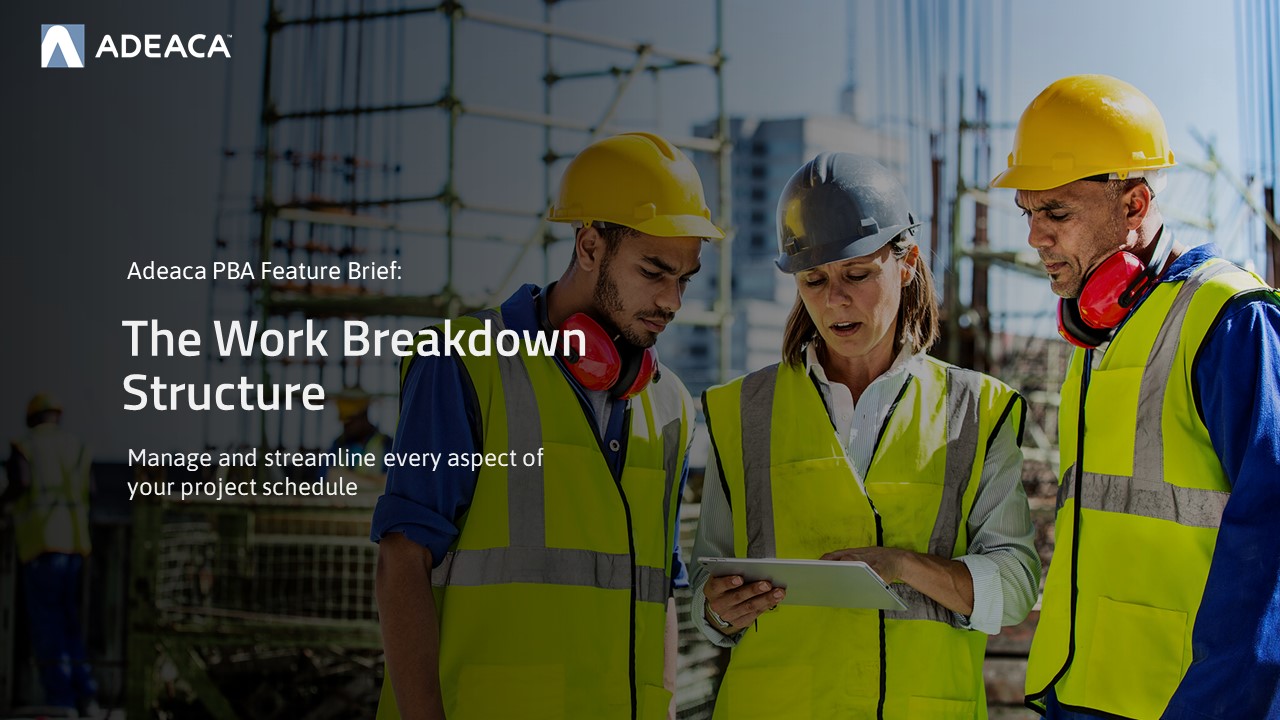 Work Breakdown Structure Feature Brief