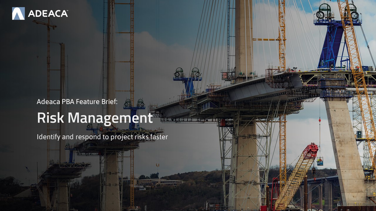 project risk management